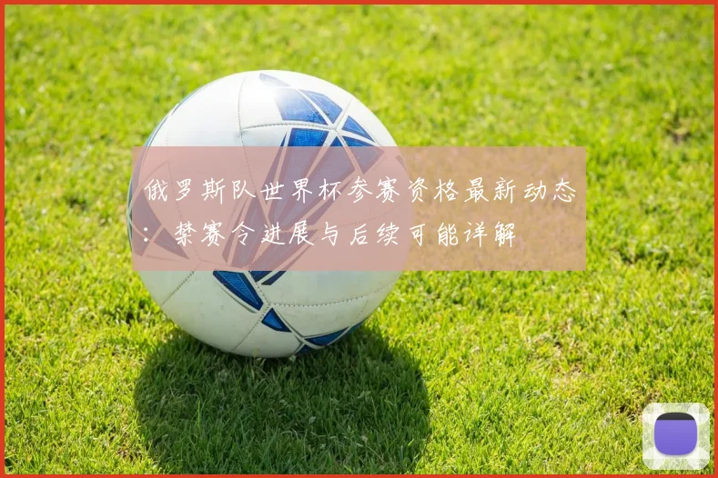 俄罗斯队世界杯参赛资格最新动态:禁赛令进展与后续可能详解